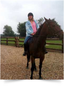 Pettime Petcare Horse picture